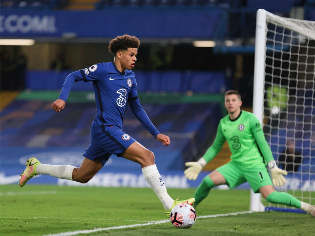 赵睿不仅自 赵睿不仅自